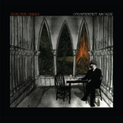 counterfeit arcade - shayfer james